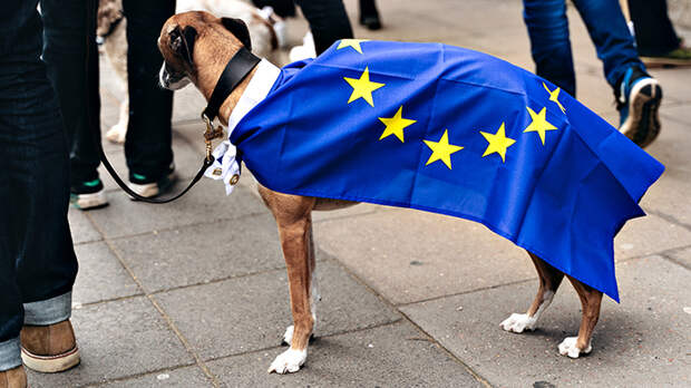 ЧТО НАМ ДЕЛАТЬ С ЕВРОПАРЛАМЕНТОМ? РОССИЯ ДОЛЖНА РЕАГИРОВАТЬ ЖЁСТКО