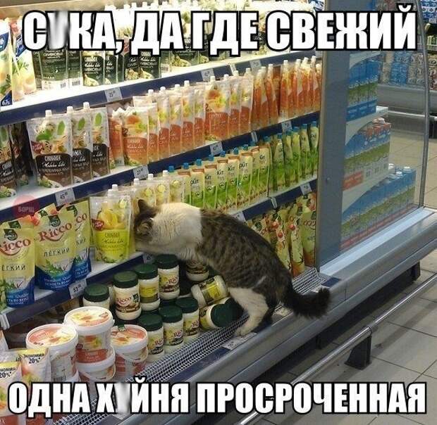 Так себе картинки