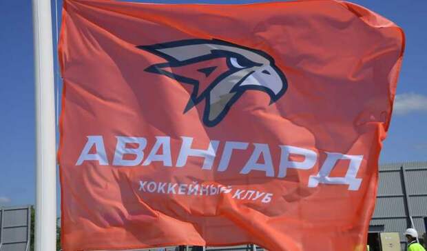 Над стройплощадкой новой «Арены Омск» водрузили флаг «Авангарда»