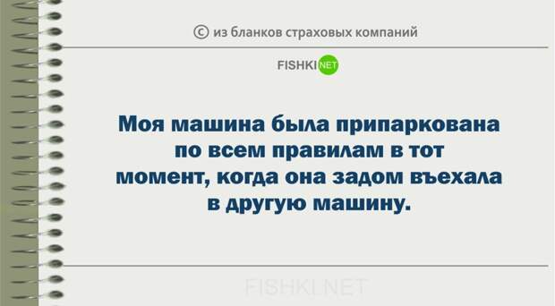 Забавные пояснения из бланков страховых компаний страховка, юмор
