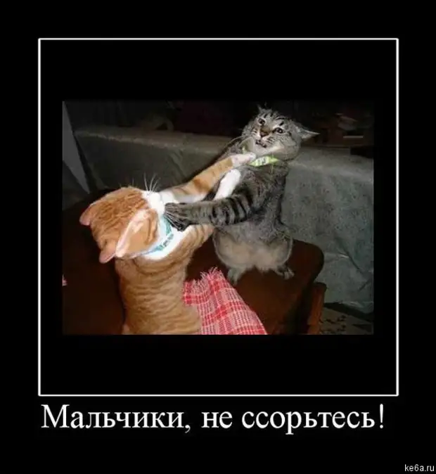 Девочки Не Ссорьтесь Картинки