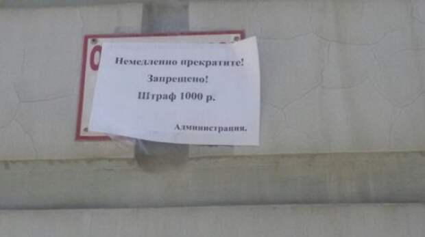 Смешные объявления, вывески и реклама (26 фото)