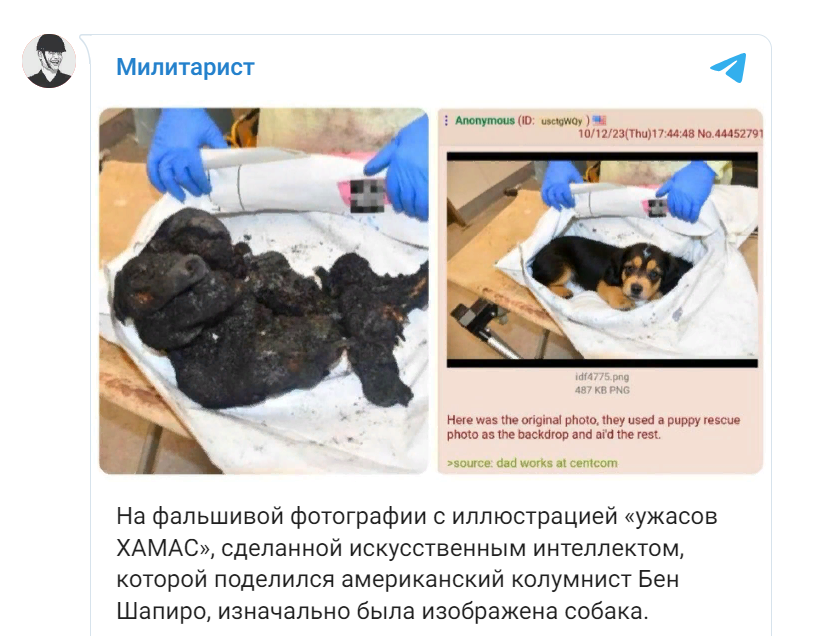 Варшава проговорилась. Бойцы ЦАХАЛ были на Украине, сейчас возвращаются