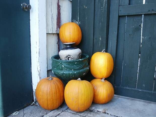 november-fall-pumpkin-autumn-october-pumpkins-207854_01