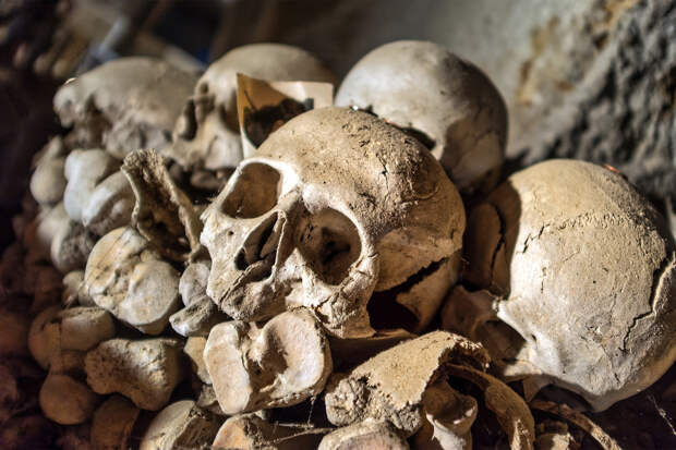 Мужчину поймали на кладбище с мумиями детей и тремя черепами в сумке