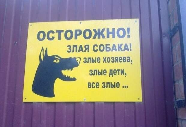 Объявления, правдивость которых не хочется проверять