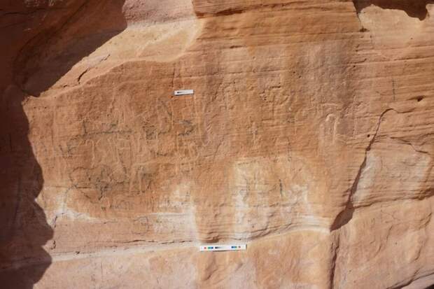 Найденный в Египте наскальный рисунок ужаснул ученых