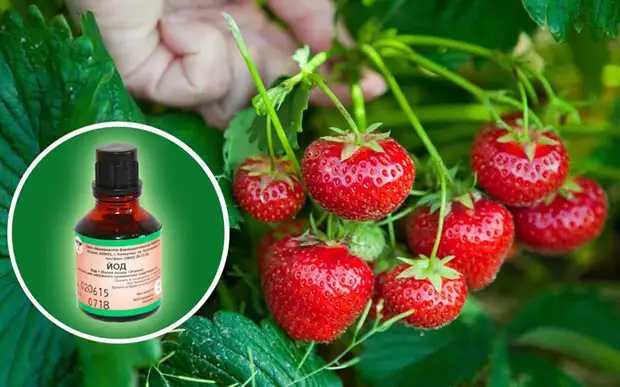 Фото из открытого источника Яндекс. Без рекламных целей, в качестве примера