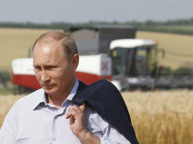 Сельское хозяйство России поднимется с колен: что для этого планирует сделать Путин