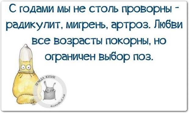 Спор с женщиной - как охота на слона... Спор с женщиной - как охота на слона...