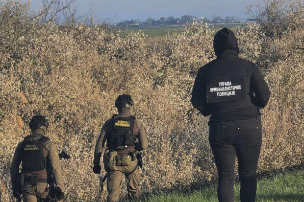 Вучич сообщил Орбану об обнаружении взрывчатки у трубопровода с газом из РФ