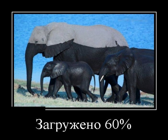 Демотиваторы (30 фото)