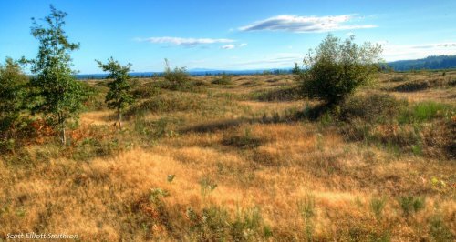 Загадочные курганы Мима (7 фото)