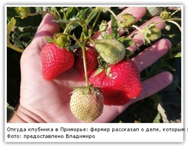 Фото: предоставлено Владимиром Крапотиным