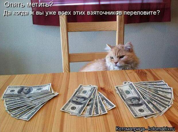Котоматрицы(картинки с надписями)