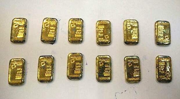Контрабандисты пытались перевезти 20 золотых слитков весом 2 кг в прямой кишке