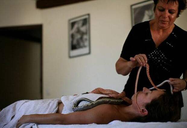 Змеиный массаж: молодость лишь для смелых