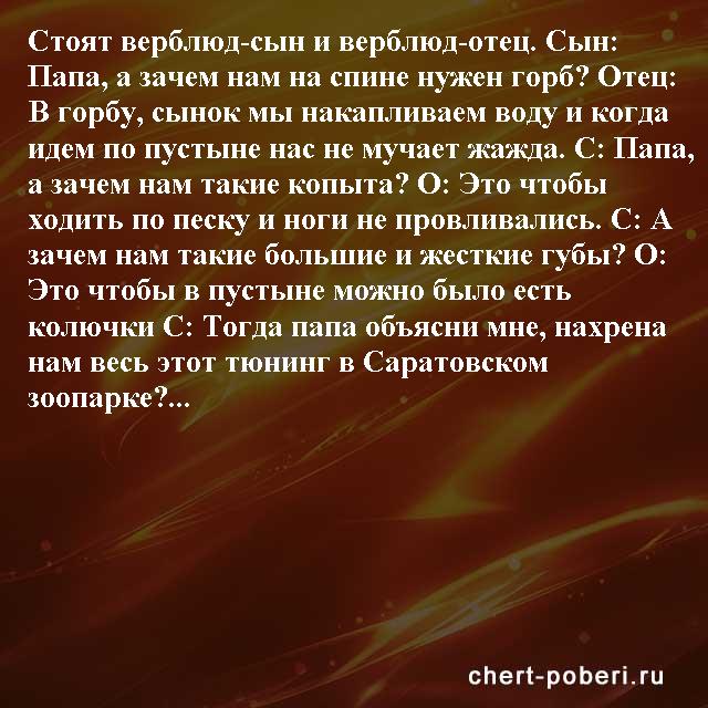 Самые смешные анекдоты ежедневная подборка chert-poberi-anekdoty-chert-poberi-anekdoty-15440317082020-5 картинка chert-poberi-anekdoty-15440317082020-5