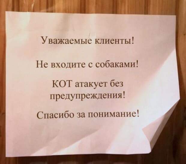 Нарочно не придумаешь Подборка забавных объявлений