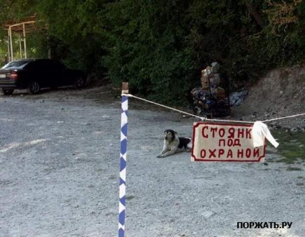 позитивчик на вторник :)