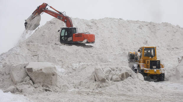 Эколог Рыбальченко: рекордные снегопады могут способствовать высокому урожаю