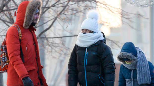 Самые крепкие с начала зимы: чего ждать от Федосеевских морозов в Москве и когда придет оттепель