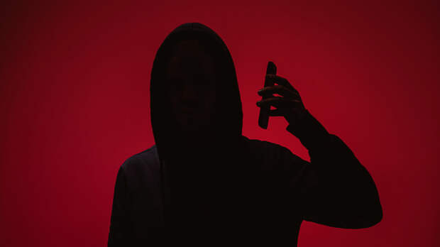 Россиянам рассказали о способах защититься от онлайн-мошенников