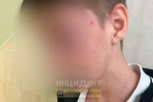 На уроке избит ребенок: прокуратура начала проверку в новосибирской школе №36