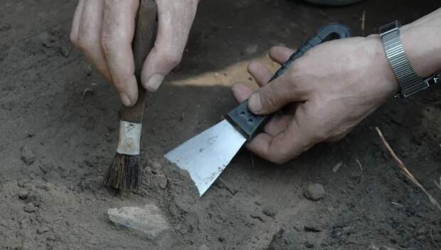 Окаменевшее яйцо возрастом 250 млн лет нашли палеонтологи в Южной Африке