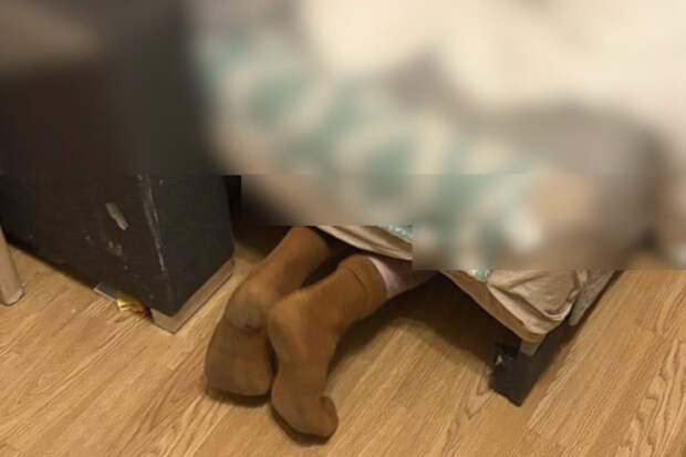 Варшавяк прятался от полиции под диваном, но был обнаружен из-за длинных ног