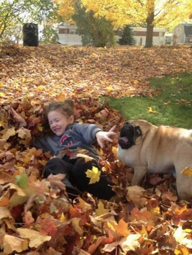 Случайно-удачные фотографии (37 шт)