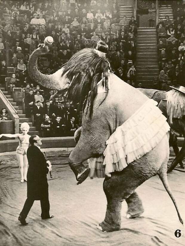 Советский цирк (17 фотографий), photo:5
