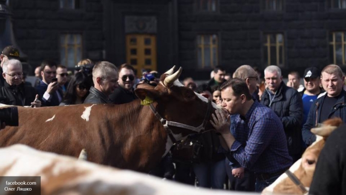Новости Украины: Сенцов в клетке, баксы Яресько, Ляшко на Марсе, автохлам-club Новости Украины: Сенцов в клетке, баксы Яресько, Ляшко на Марсе, автохлам-club