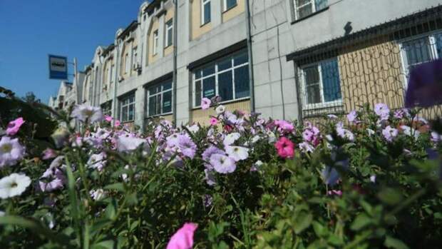 На Алтае в 2026 году планируют обустроить более 80 общественных территорий