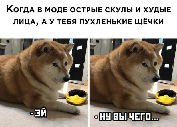 1593718165_0001.jpg