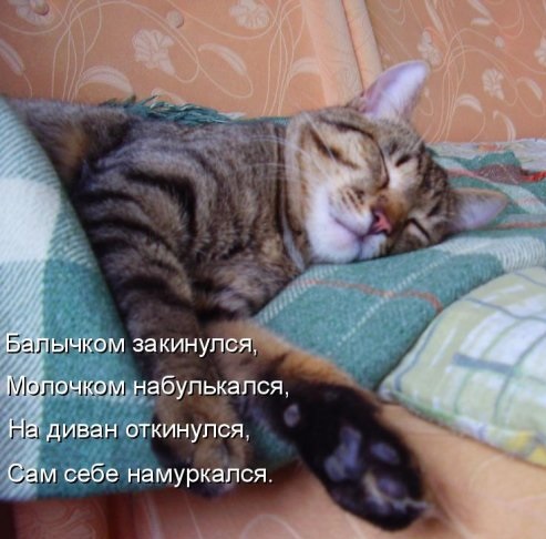 Субботний позитивчик (30 фото)