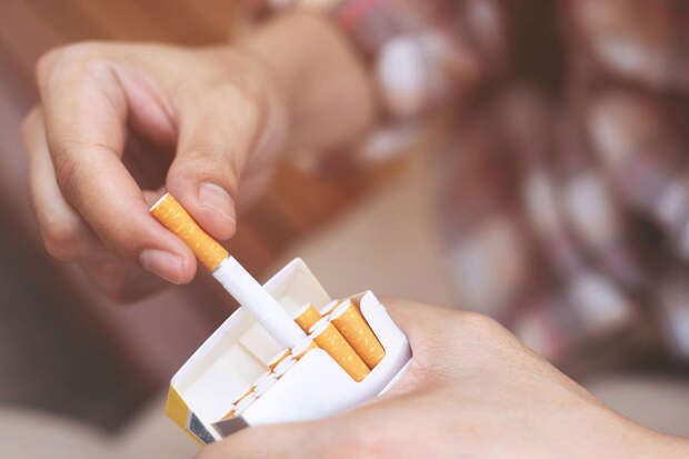 Кабмин запретил ввоз иностранного табака в Россию без акцизных марок