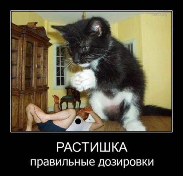 6 (600x577, 48Kb)