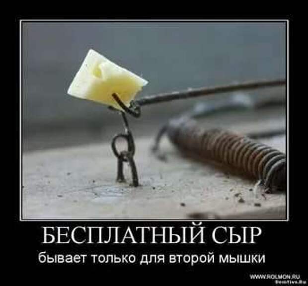Прикольные демотиваторы с надписями. Подборка chert-poberi-dem-chert-poberi-dem-45300504012021-12 картинка chert-poberi-dem-45300504012021-12