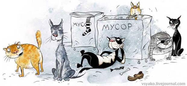 Картинки по запросу Карикатура бездомные кошки Ольги Громовой