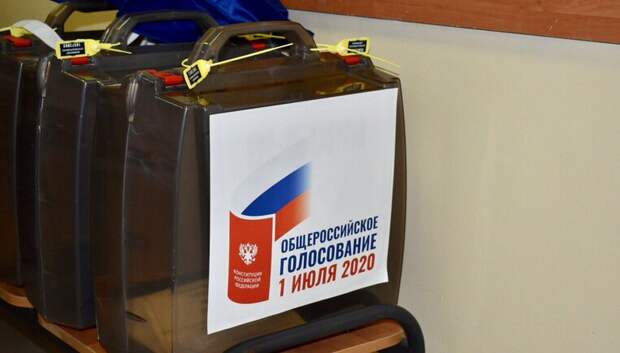 Воробьев: Голосование по Конституции проходит в Подмосковье без нарушений