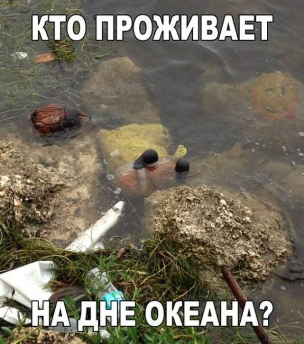 Прикольные фотомемы для настроения (31 шт)