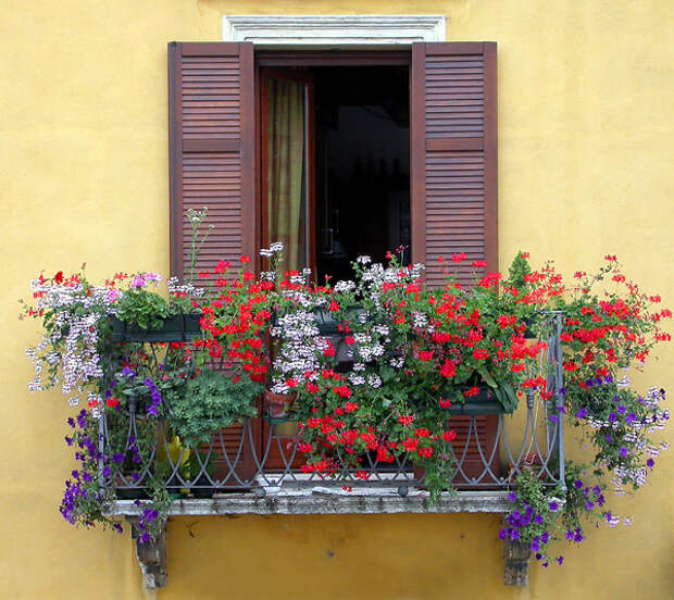 5. Особенно гармонично смотрятся цветы на желтой стене. Сегодня такие балконы стали большой редкостью. Люди больше ценят практичность, переделывая балконы в лоджии. (http://gazda.ua/ru/uslugi/balkonyi-pod-klyuch.html). Старые балкончики постепенно начинают уходить в историю.