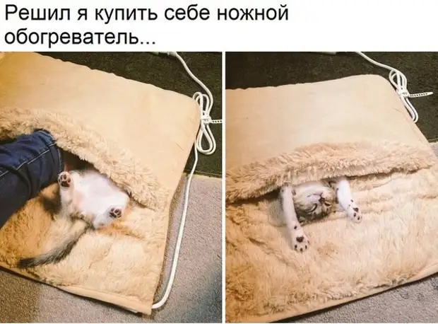 Подборка забавных картинок на понедельник Подборка забавных картинок на понедельник забавные картинки, прикол, юмор