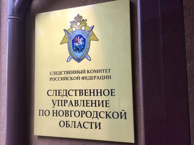 Судьбой новгородского сироты занялся следком