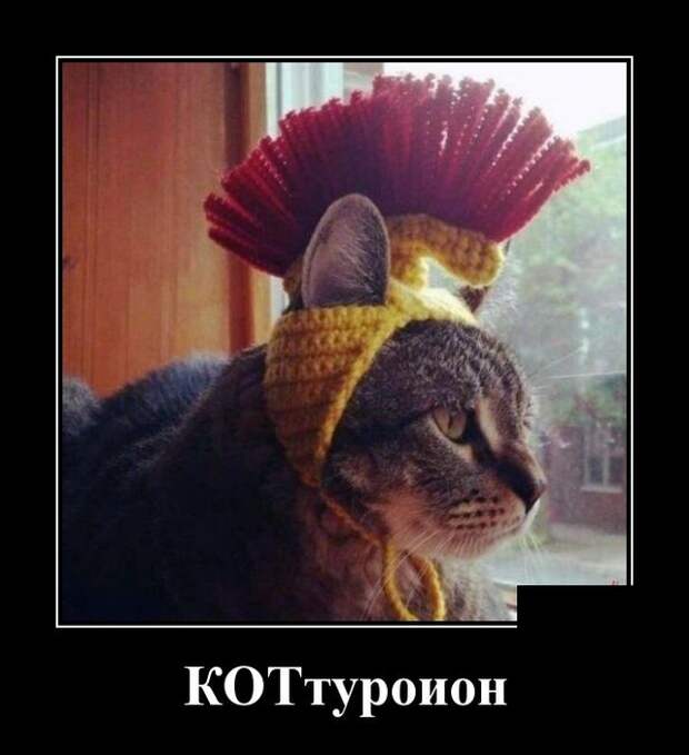 Демотиваторы (30 фото)