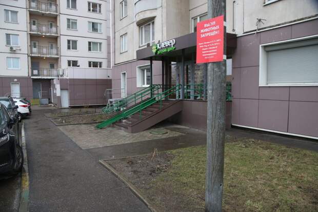 Правила выгула животных регулируются Законом города Москвы/ Роман Балаев