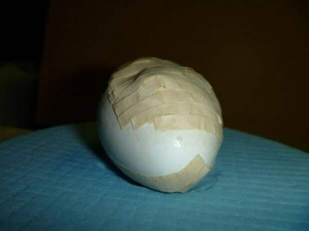 Ремонт яйца редкого попугая (8 фото)