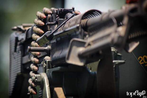 10 видов самого дорогого стрелкового оружия в мире (CC0)