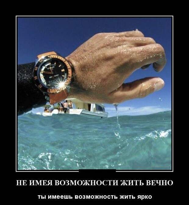 Демотиваторы (30 фото) Демотиваторы (30 фото)